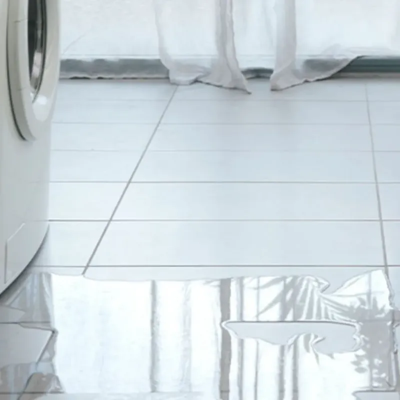 Appliance Leak Cleanup in Prairie Ridge, WA