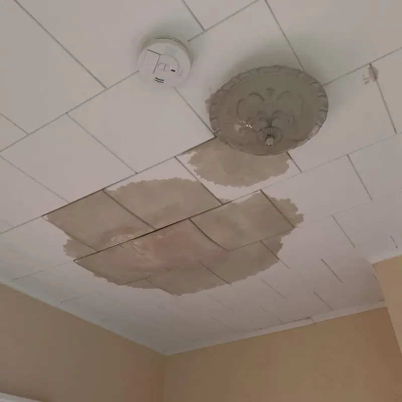 Ceiling Water Damage Repair in Prairie Ridge, WA