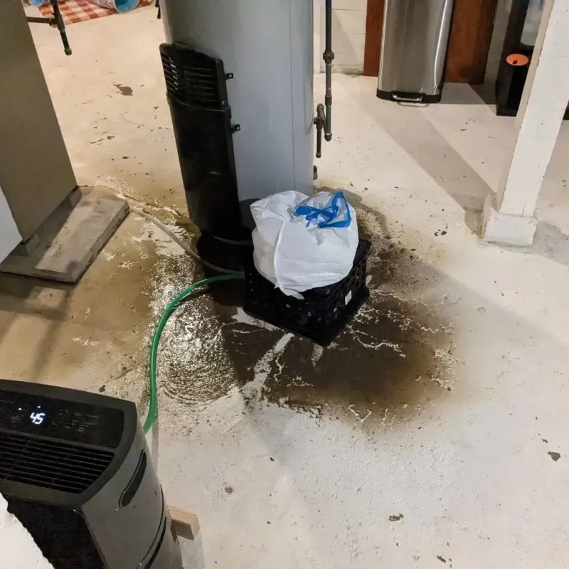 Sewage Backup Cleanup Service in Prairie Ridge, WA